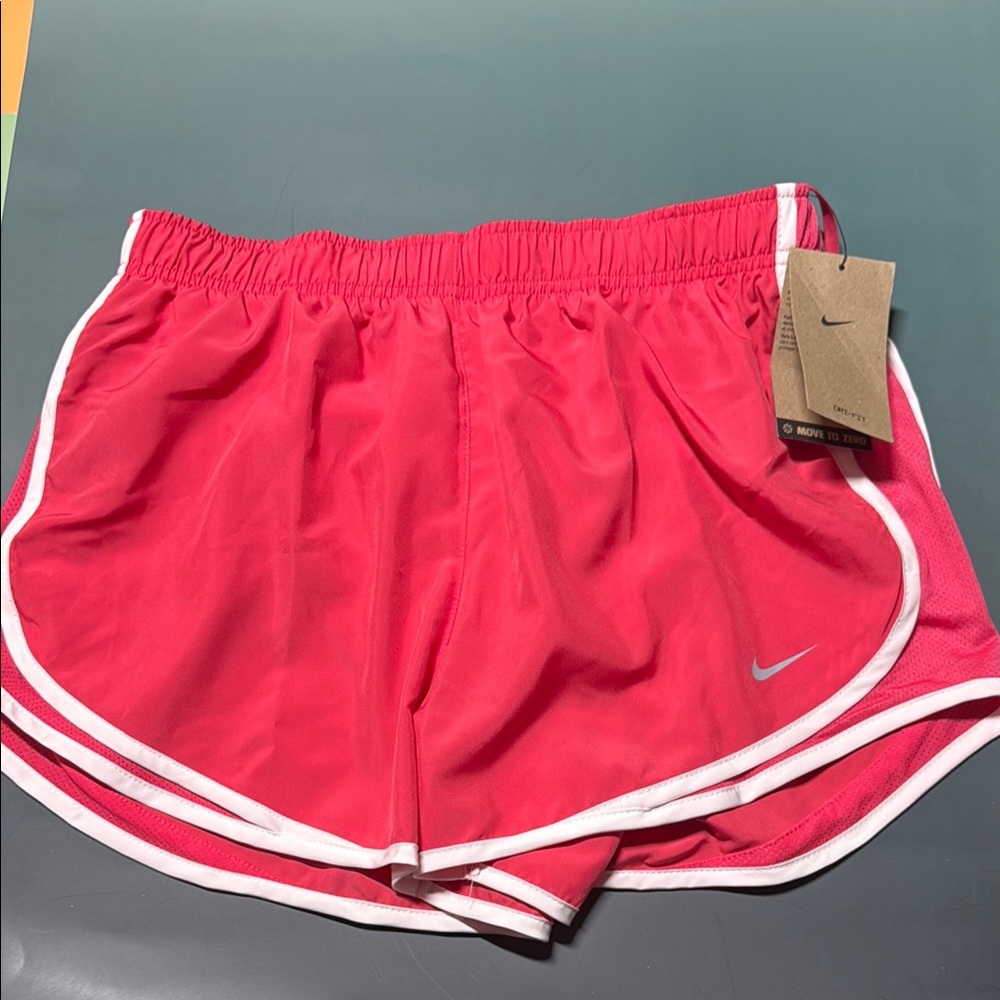 Nike Women's Pink Running Shorts  Size Large NWT